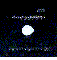 GAN Study 1, animated loop of neurons activating in a generative adversarial network
